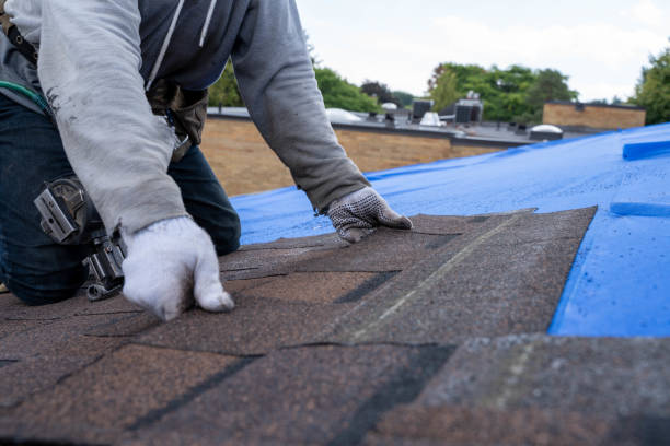 Professional Roofing Contractor in East Hazel Crest, IL